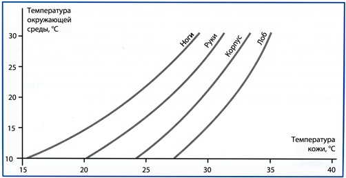 ss (2013-08-23 at 07.37.32).jpg